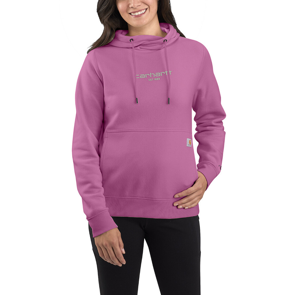 Carhartt Force Relaxed Fit Lightweight Graphic Ladies Hoodie