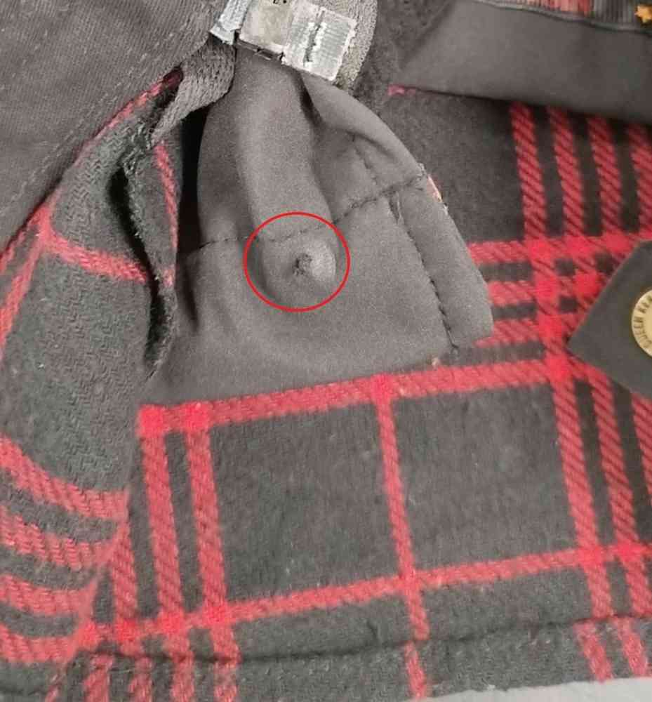 Queen Kerosin Wild Ones Roses Adventure Ladies Shirt 2nd choice item