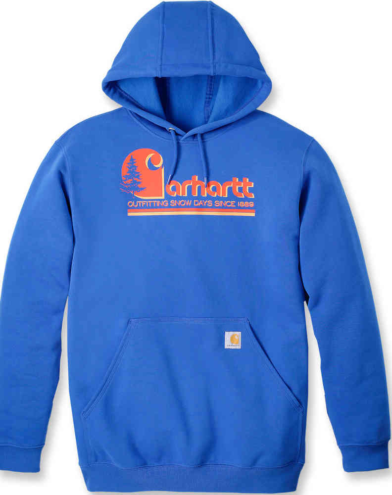 Carhartt Loose Fit Midweight Graphic Hooded Sweatshirt