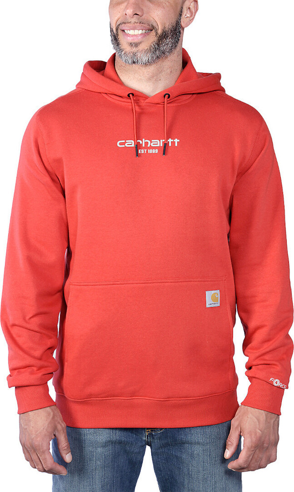 Carhartt Lightweight Logo Graphic Hoodie