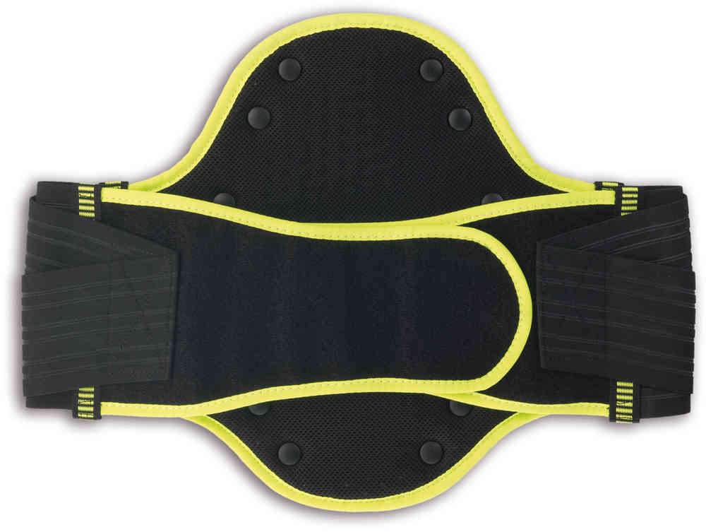 Zandona Shield Evo X4 Lumbar Protector