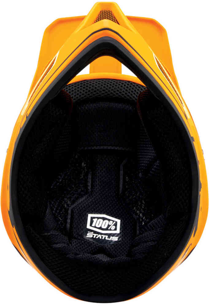 100% Status Downhill Helmet