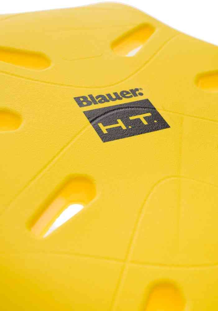 Blauer Back Protector