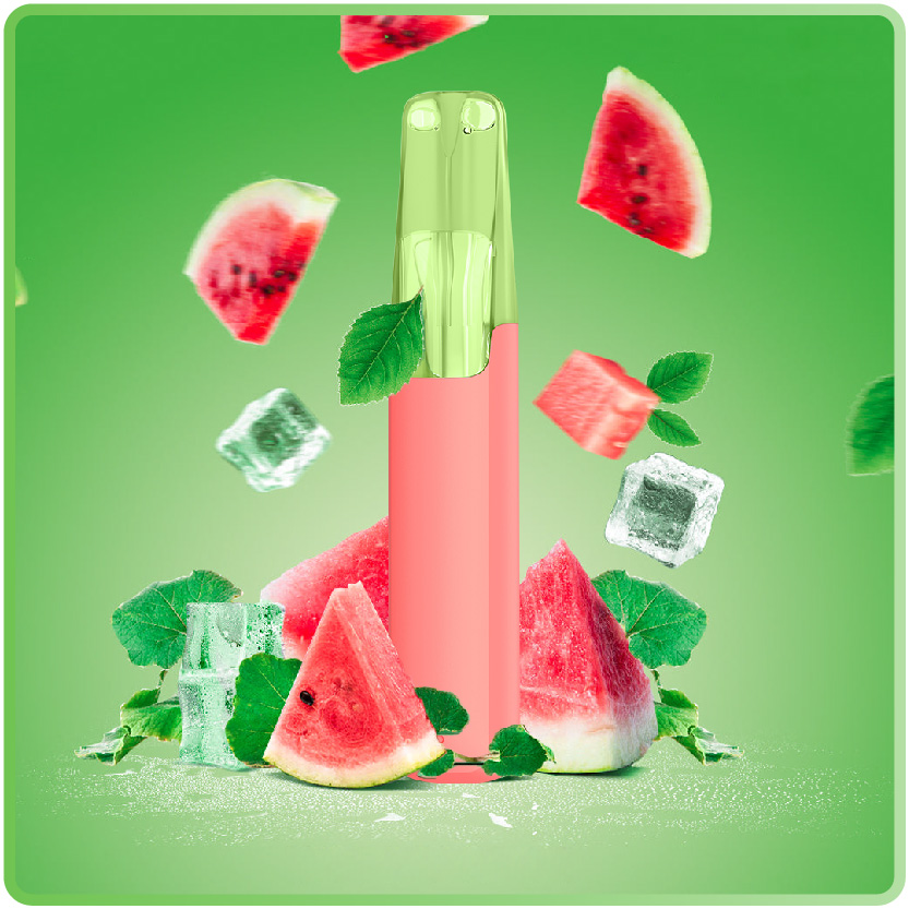 Platypus & Watermelon Ice