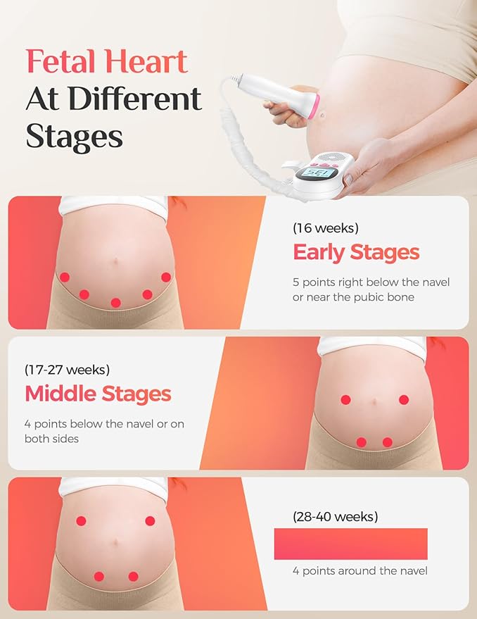Monitor, Fetal Ultrasound
