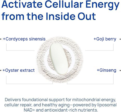 Ginseng Men's Supplement - Prostate Health Supplement with Goji Berry, Oyster, Cordyceps for Anti-Aging, Antioxidant and Cellular Energy Support 60 Capsules