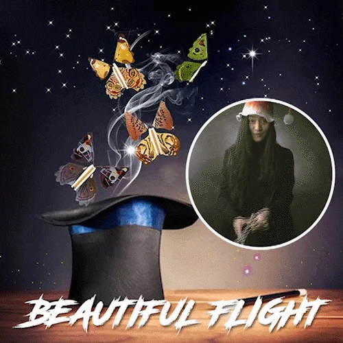 🎄 Magic Flying Butterfly (There are at least 20 butterflies in the video)
