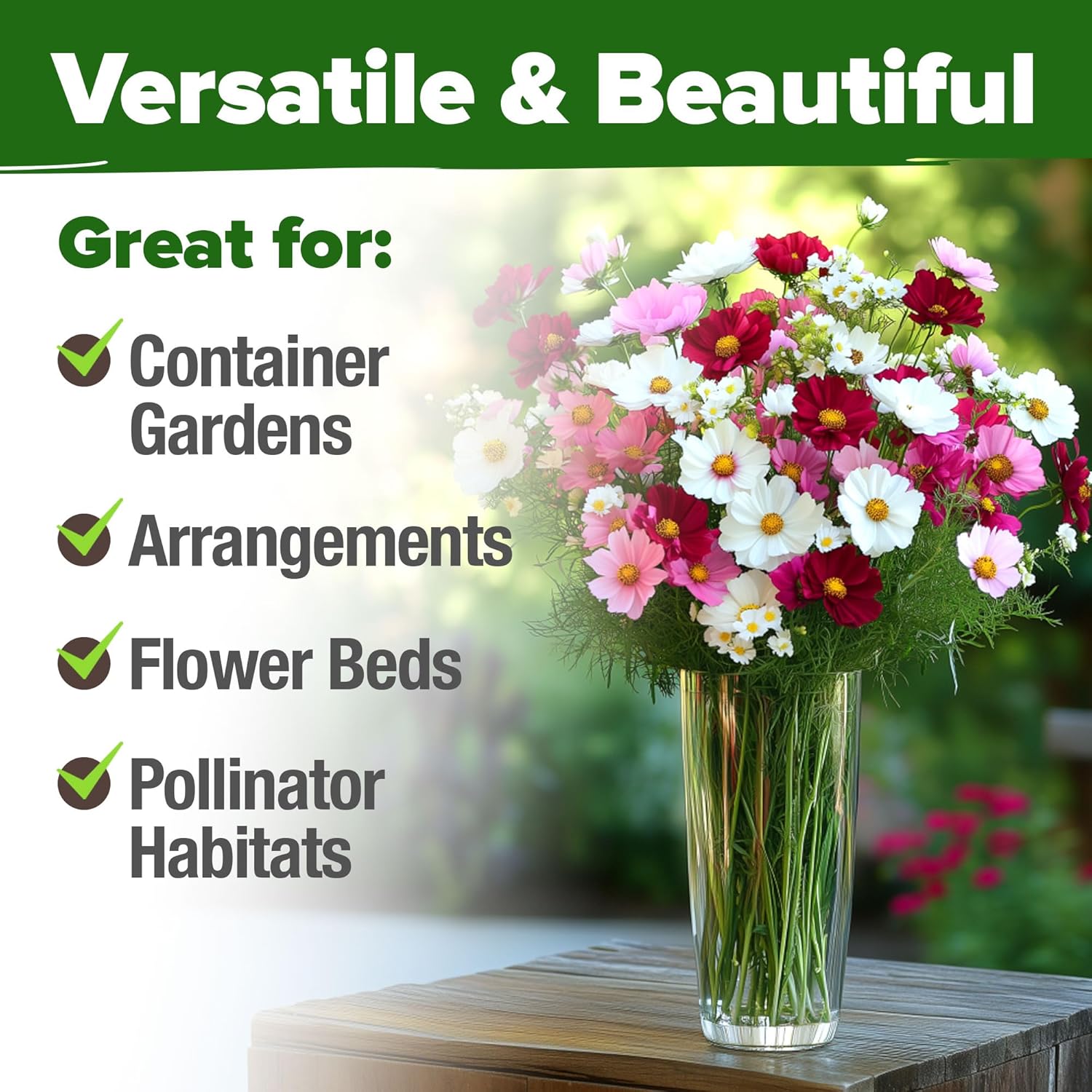 HOME GROWN English Lavender Seeds 1,500+ Non GMO Wildflower Seed for Planting Indoor/Outdoor, High Germination, Plant Flower Seeds (Lavandula antustifolia)