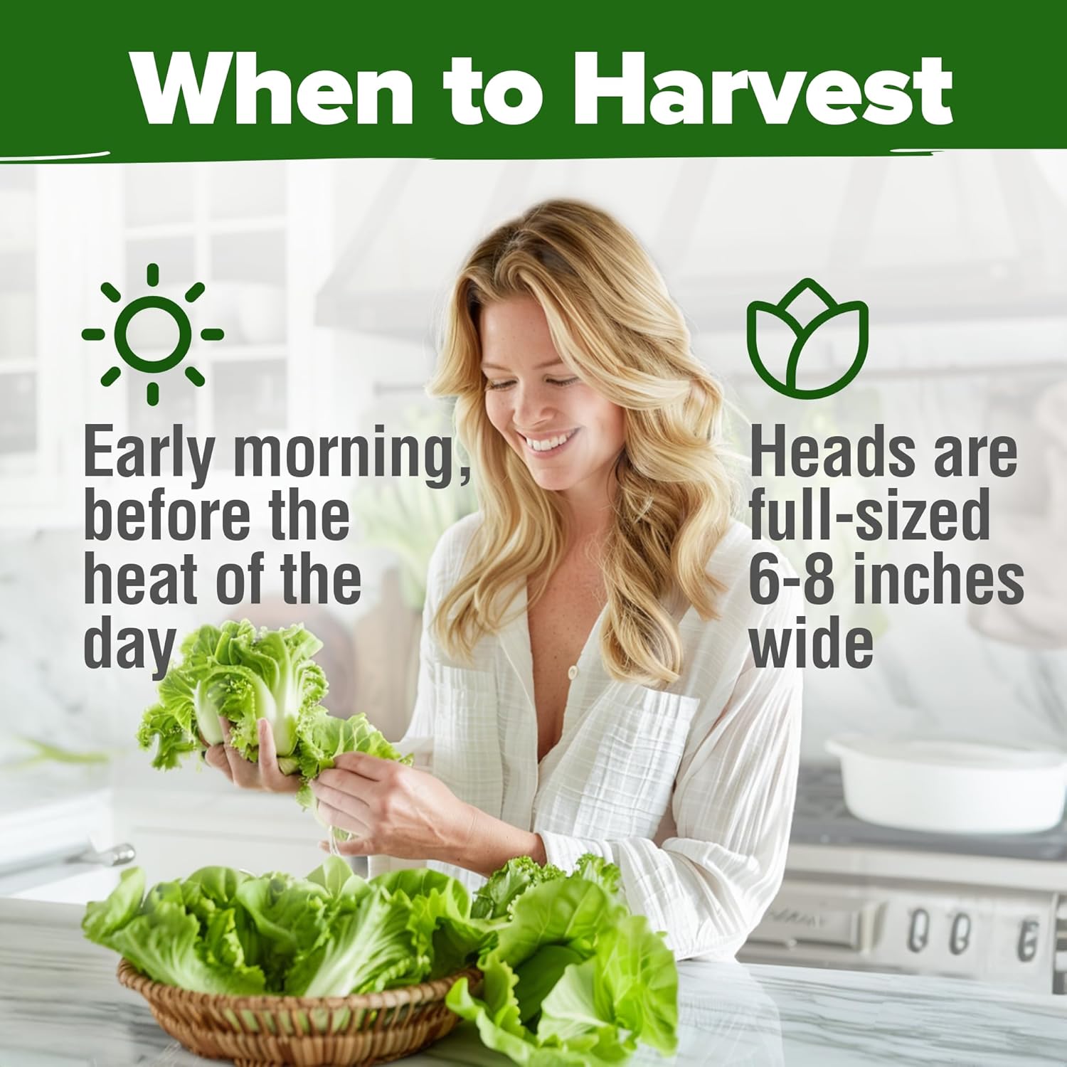 HOME GROWN English Lavender Seeds 1,500+ Non GMO Wildflower Seed for Planting Indoor/Outdoor, High Germination, Plant Flower Seeds (Lavandula antustifolia)