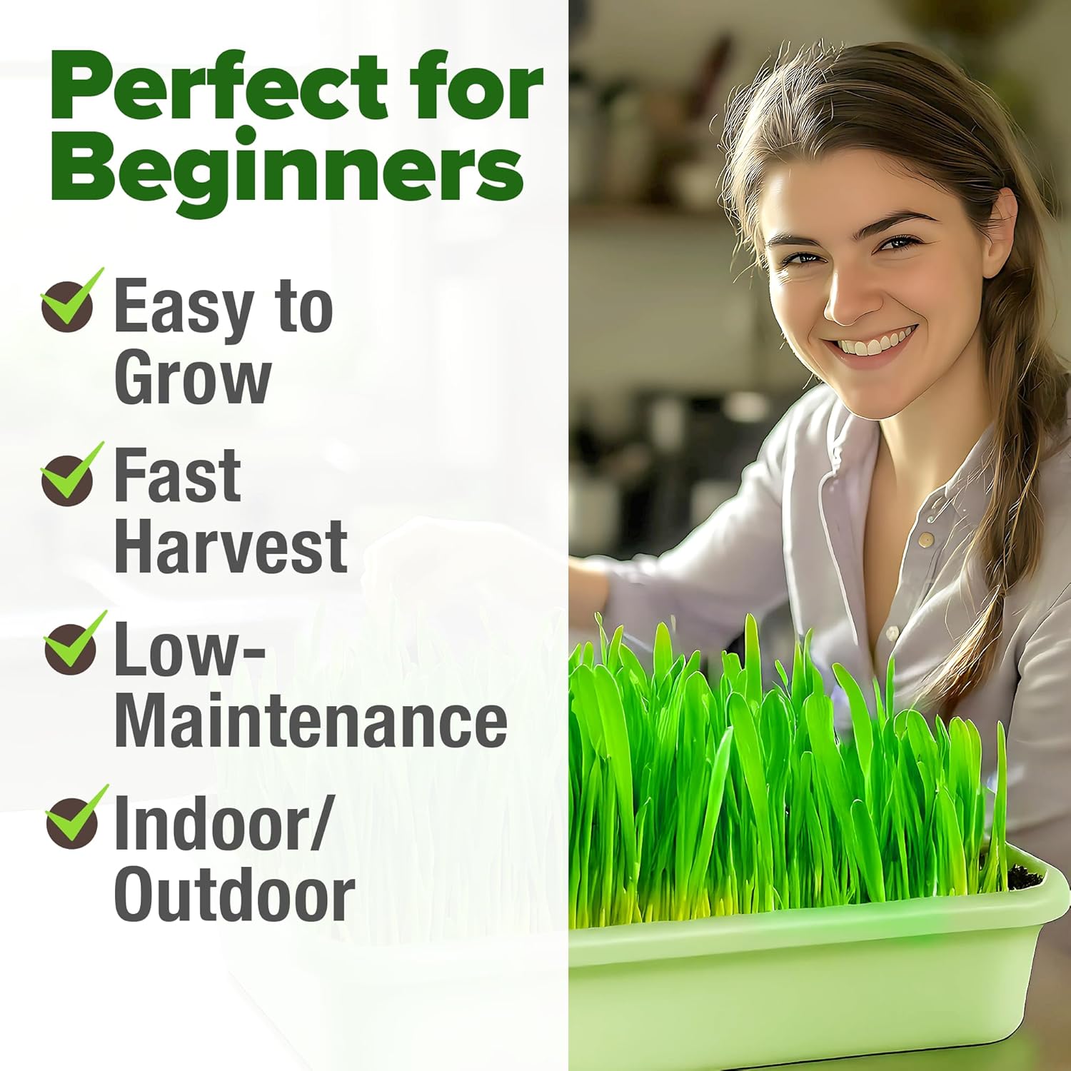 HOME GROWN English Lavender Seeds 1,500+ Non GMO Wildflower Seed for Planting Indoor/Outdoor, High Germination, Plant Flower Seeds (Lavandula antustifolia)