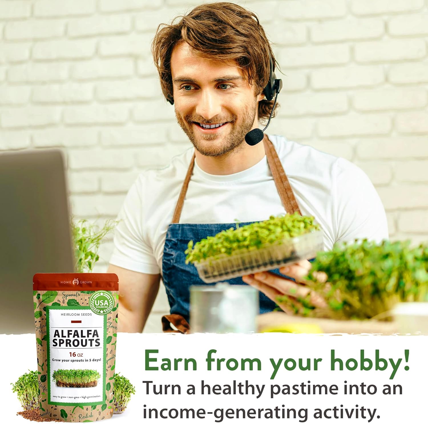 HOME GROWN English Lavender Seeds 1,500+ Non GMO Wildflower Seed for Planting Indoor/Outdoor, High Germination, Plant Flower Seeds (Lavandula antustifolia)