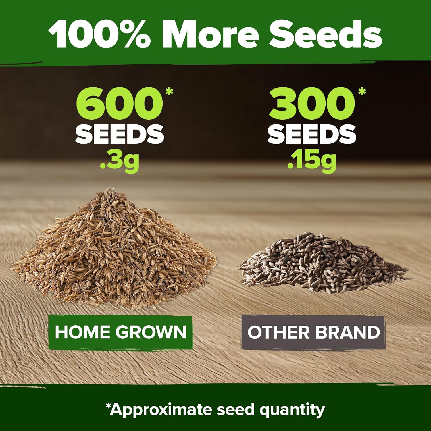 HOME GROWN English Lavender Seeds 1,500+ Non GMO Wildflower Seed for Planting Indoor/Outdoor, High Germination, Plant Flower Seeds (Lavandula antustifolia)