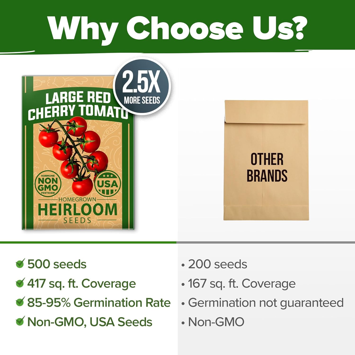 HOME GROWN English Lavender Seeds 1,500+ Non GMO Wildflower Seed for Planting Indoor/Outdoor, High Germination, Plant Flower Seeds (Lavandula antustifolia)