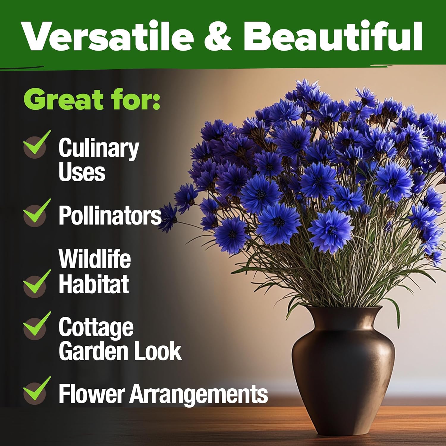 HOME GROWN English Lavender Seeds 1,500+ Non GMO Wildflower Seed for Planting Indoor/Outdoor, High Germination, Plant Flower Seeds (Lavandula antustifolia)