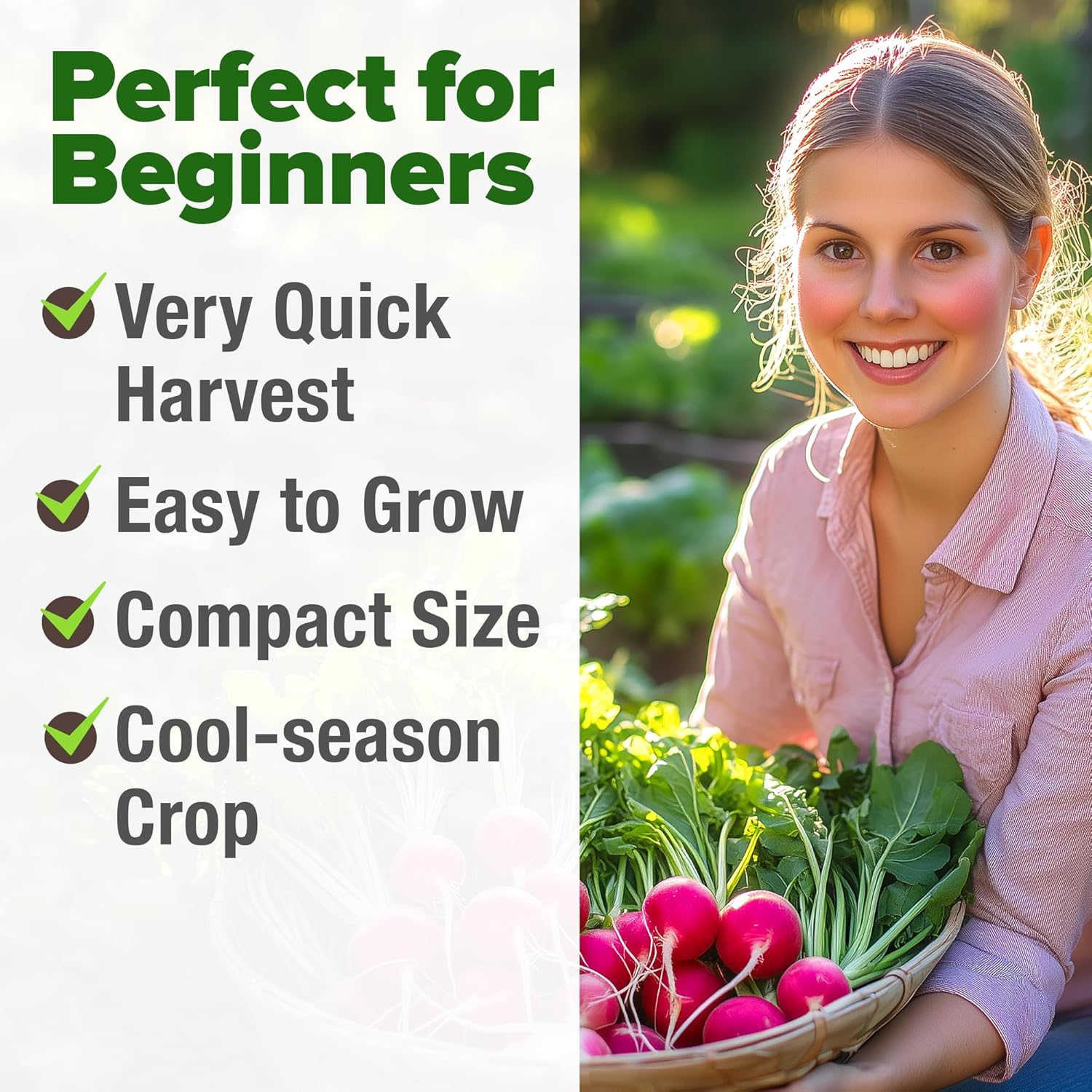 HOME GROWN English Lavender Seeds 1,500+ Non GMO Wildflower Seed for Planting Indoor/Outdoor, High Germination, Plant Flower Seeds (Lavandula antustifolia)