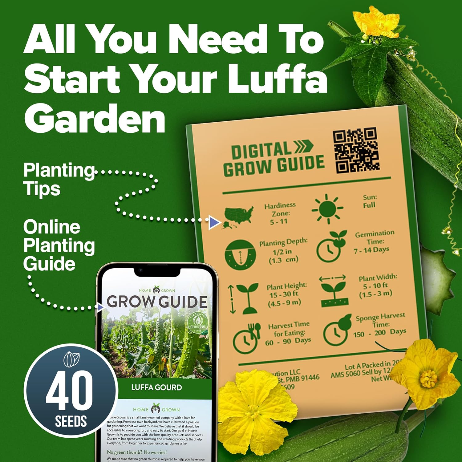 HOME GROWN English Lavender Seeds 1,500+ Non GMO Wildflower Seed for Planting Indoor/Outdoor, High Germination, Plant Flower Seeds (Lavandula antustifolia)