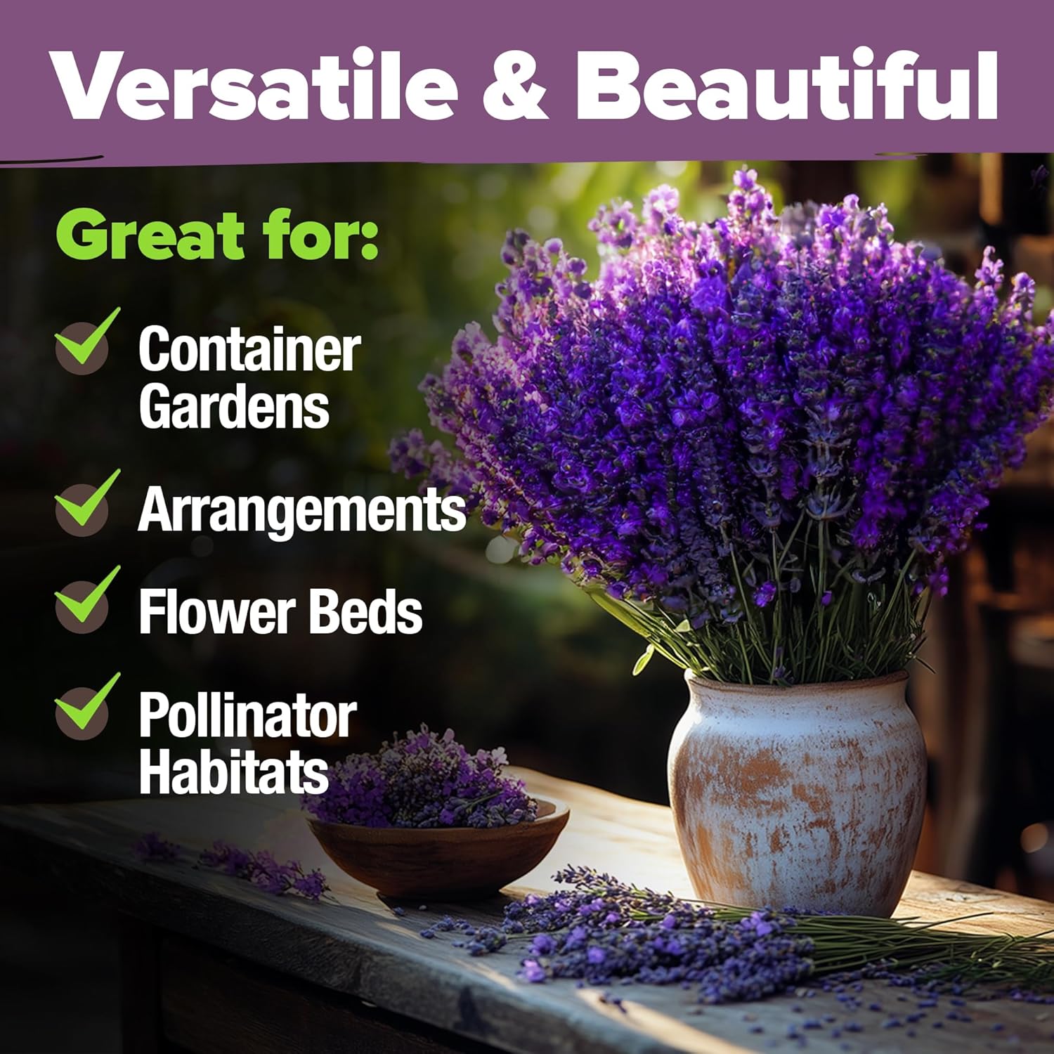 HOME GROWN English Lavender Seeds 1,500+ Non GMO Wildflower Seed for Planting Indoor/Outdoor, High Germination, Plant Flower Seeds (Lavandula antustifolia)