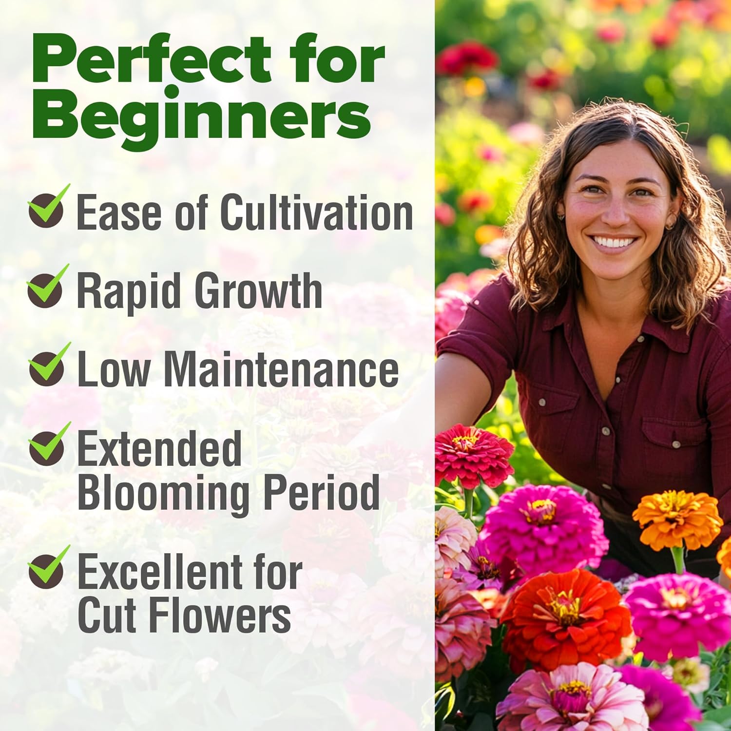 HOME GROWN English Lavender Seeds 1,500+ Non GMO Wildflower Seed for Planting Indoor/Outdoor, High Germination, Plant Flower Seeds (Lavandula antustifolia)