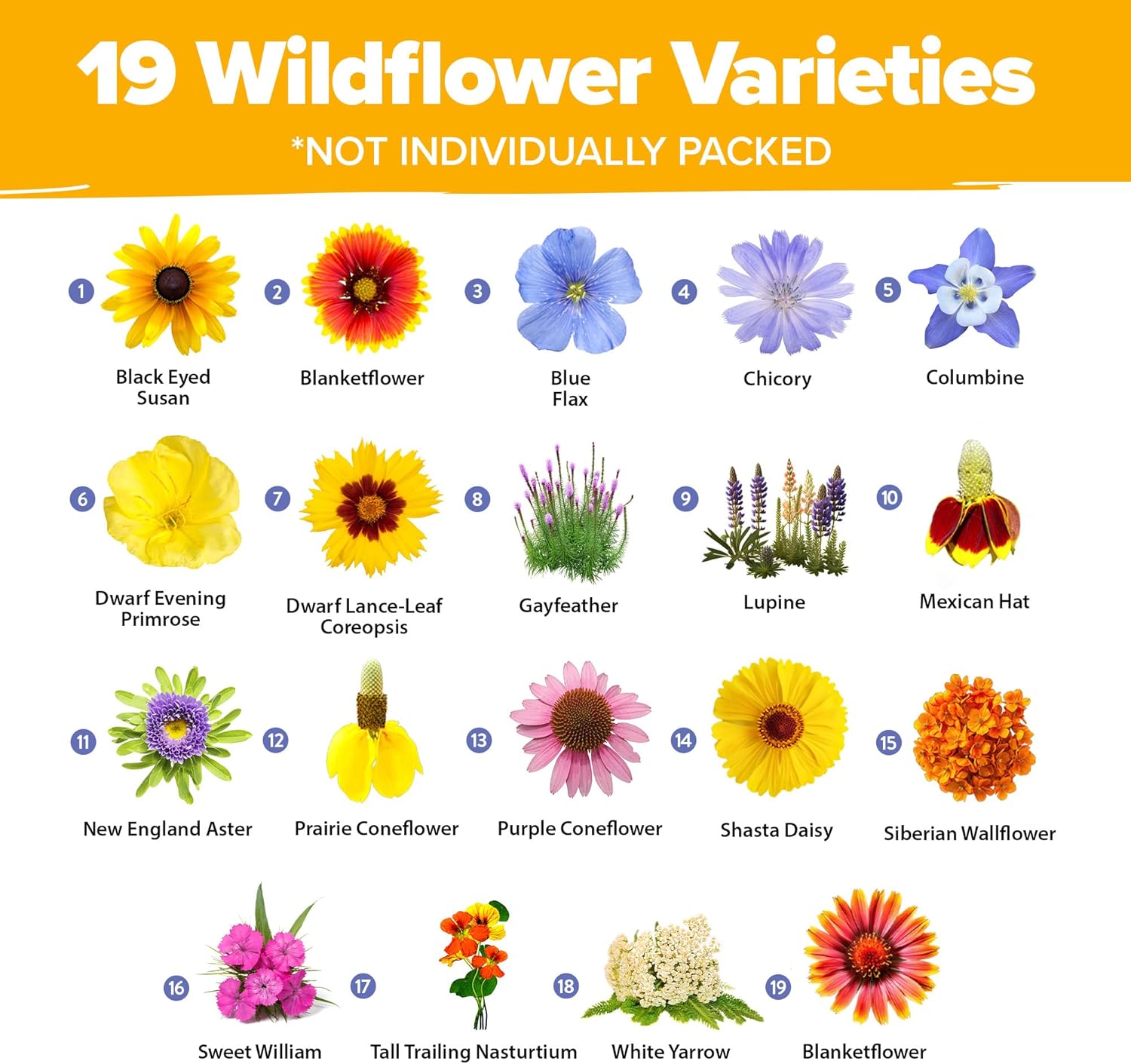 HOME GROWN Wildflower Seeds Mix - 47,400+ Non-GMO - 19 Perennial Flower Varieties for Planting Outdoors - Attract Butterflies & Birds - 3oz Wild Flower Seed Mix