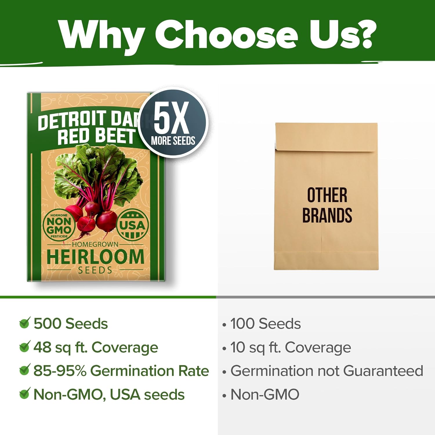 HOME GROWN English Lavender Seeds 1,500+ Non GMO Wildflower Seed for Planting Indoor/Outdoor, High Germination, Plant Flower Seeds (Lavandula antustifolia)