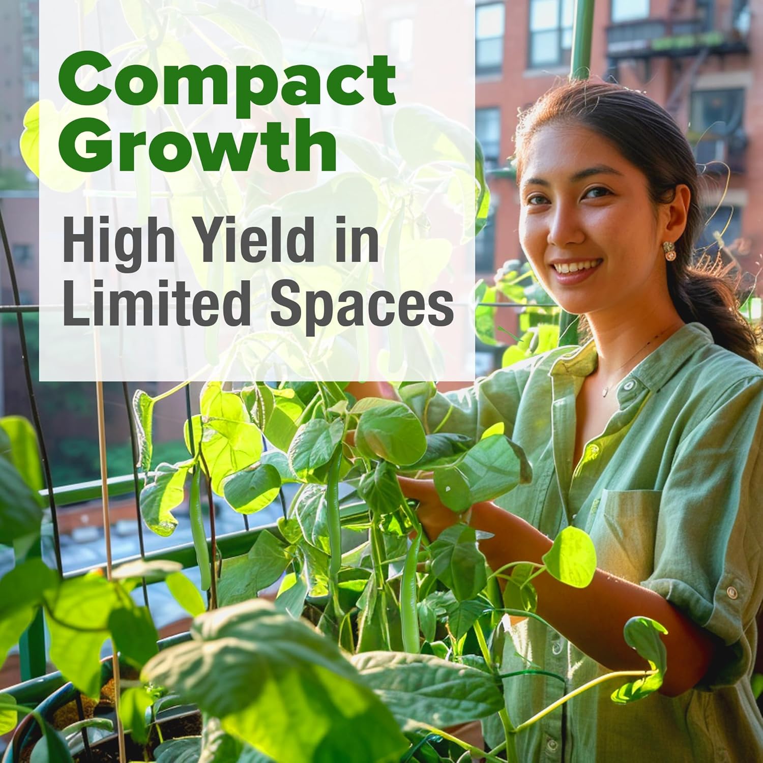 HOME GROWN English Lavender Seeds 1,500+ Non GMO Wildflower Seed for Planting Indoor/Outdoor, High Germination, Plant Flower Seeds (Lavandula antustifolia)