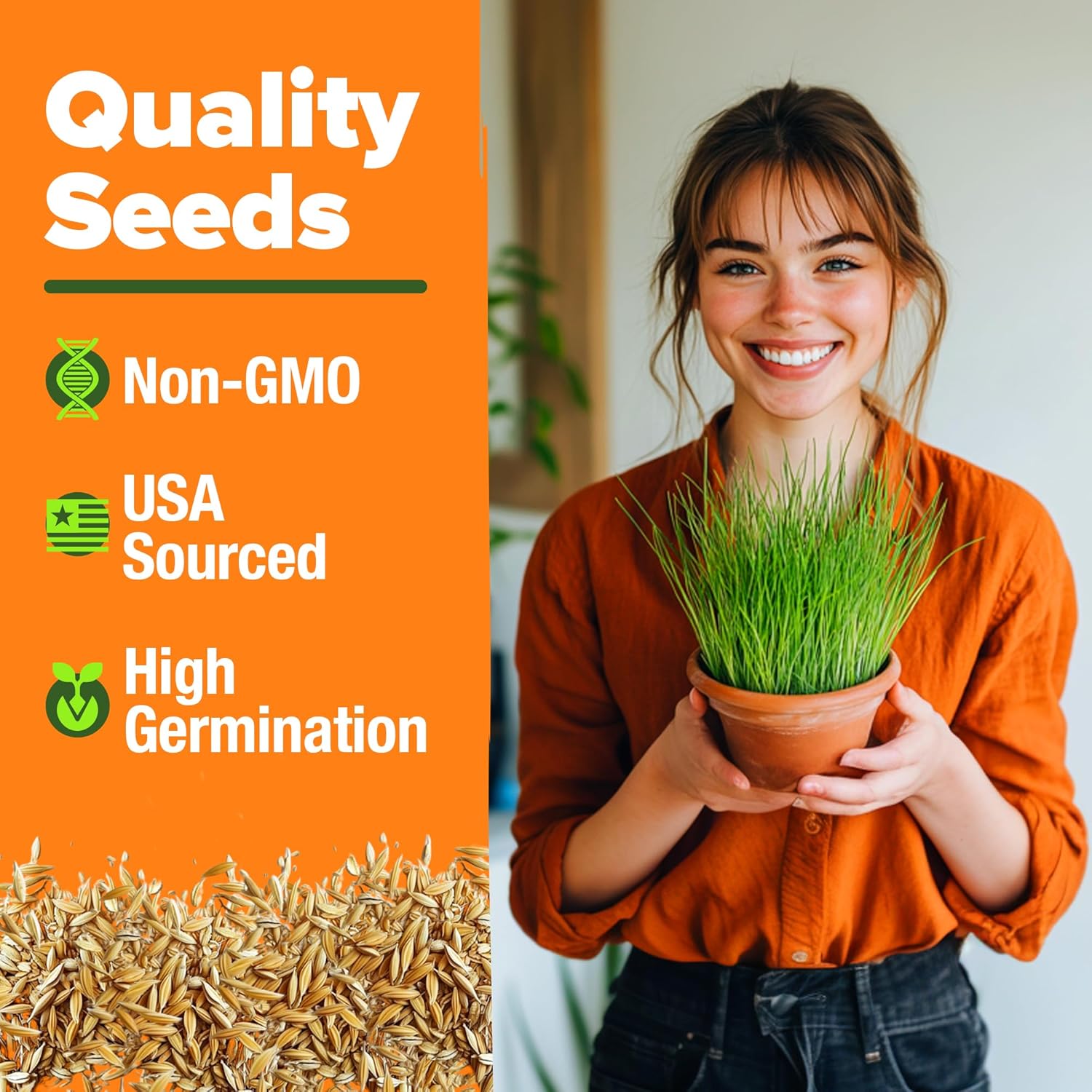 HOME GROWN English Lavender Seeds 1,500+ Non GMO Wildflower Seed for Planting Indoor/Outdoor, High Germination, Plant Flower Seeds (Lavandula antustifolia)