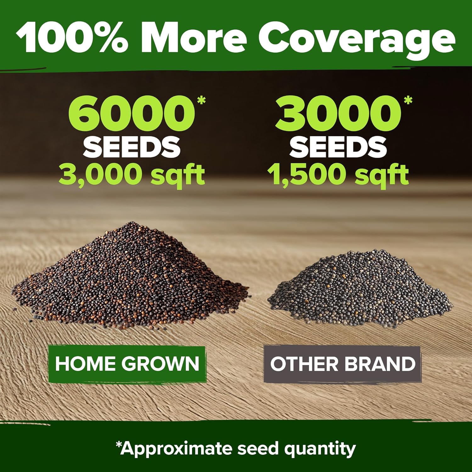 HOME GROWN English Lavender Seeds 1,500+ Non GMO Wildflower Seed for Planting Indoor/Outdoor, High Germination, Plant Flower Seeds (Lavandula antustifolia)