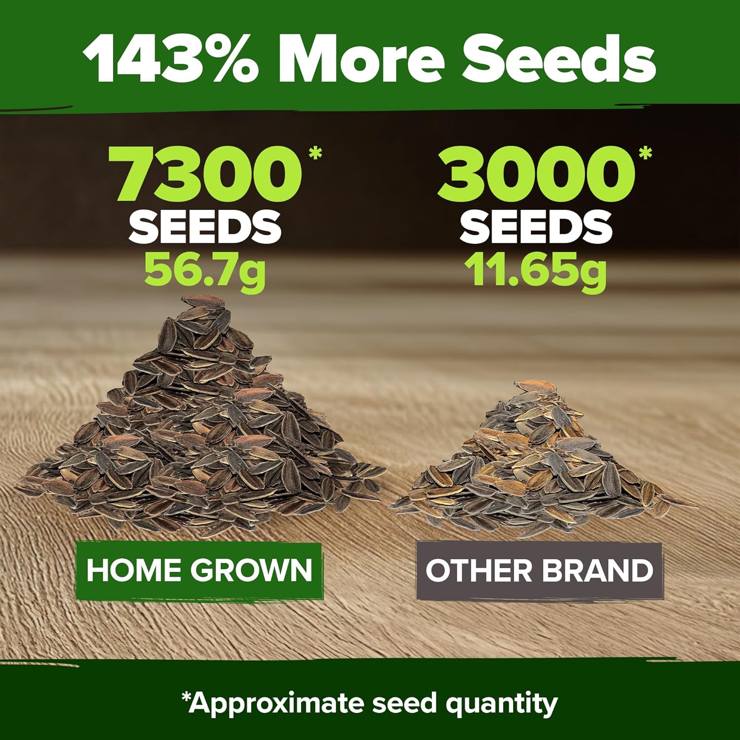 HOME GROWN English Lavender Seeds 1,500+ Non GMO Wildflower Seed for Planting Indoor/Outdoor, High Germination, Plant Flower Seeds (Lavandula antustifolia)