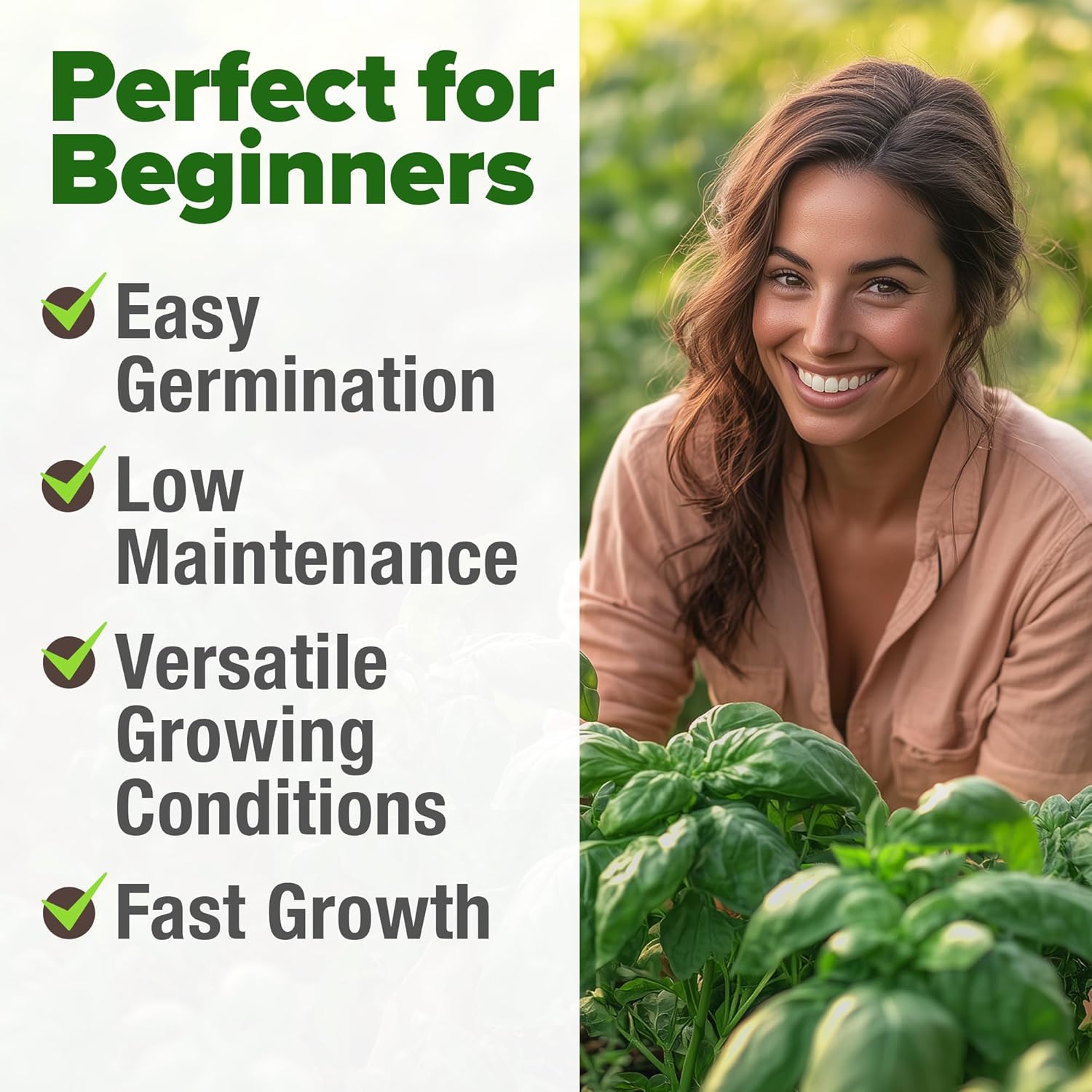 HOME GROWN English Lavender Seeds 1,500+ Non GMO Wildflower Seed for Planting Indoor/Outdoor, High Germination, Plant Flower Seeds (Lavandula antustifolia)