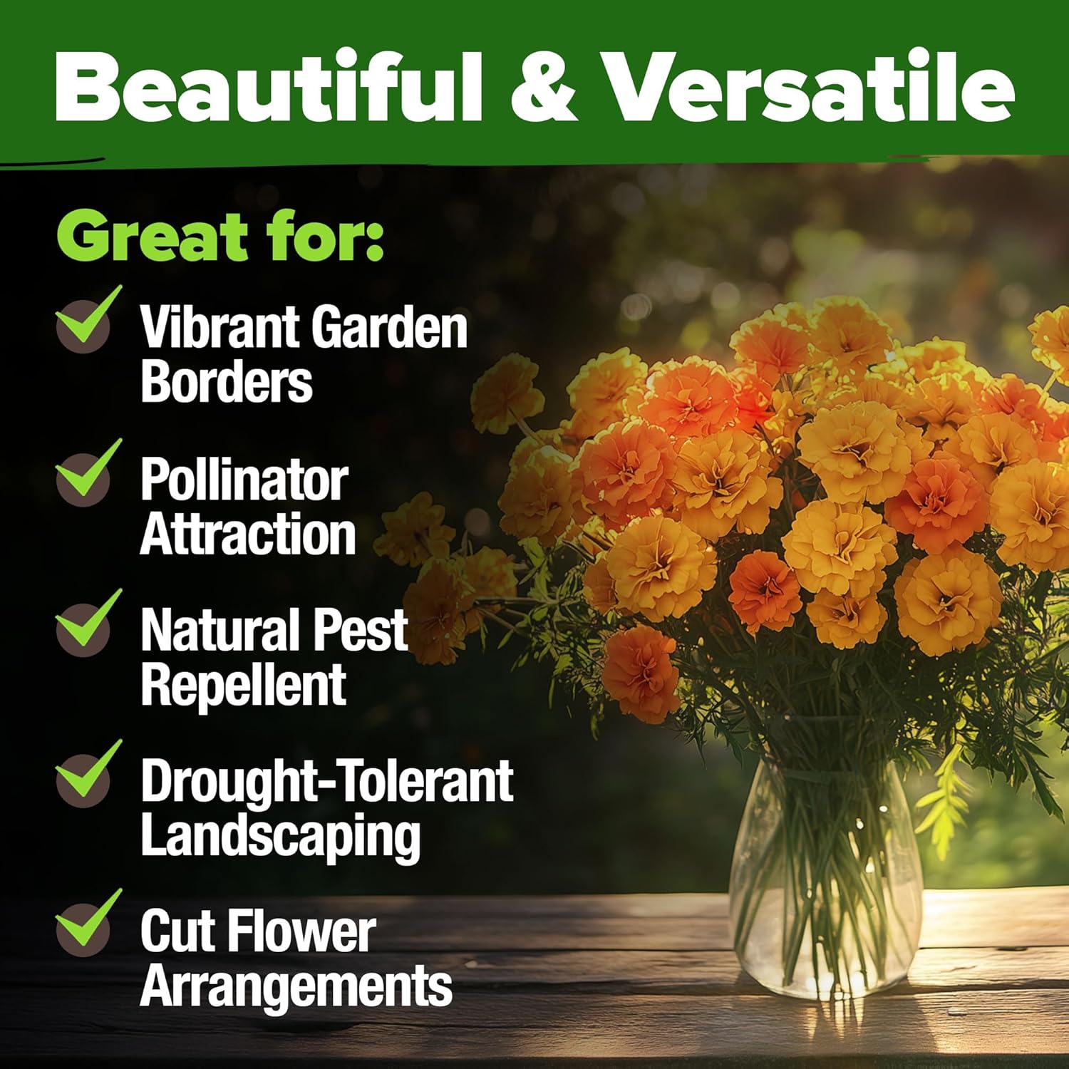 HOME GROWN English Lavender Seeds 1,500+ Non GMO Wildflower Seed for Planting Indoor/Outdoor, High Germination, Plant Flower Seeds (Lavandula antustifolia)