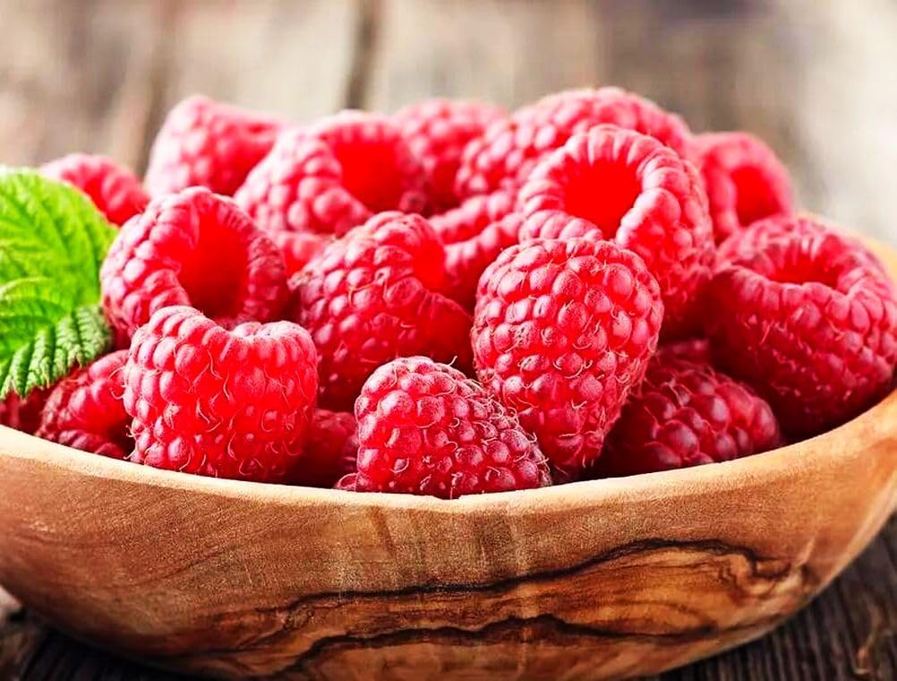Red Raspberry Seeds for Planting 100+ Pcs Seeds Heirloom Non-GMO Fruit
