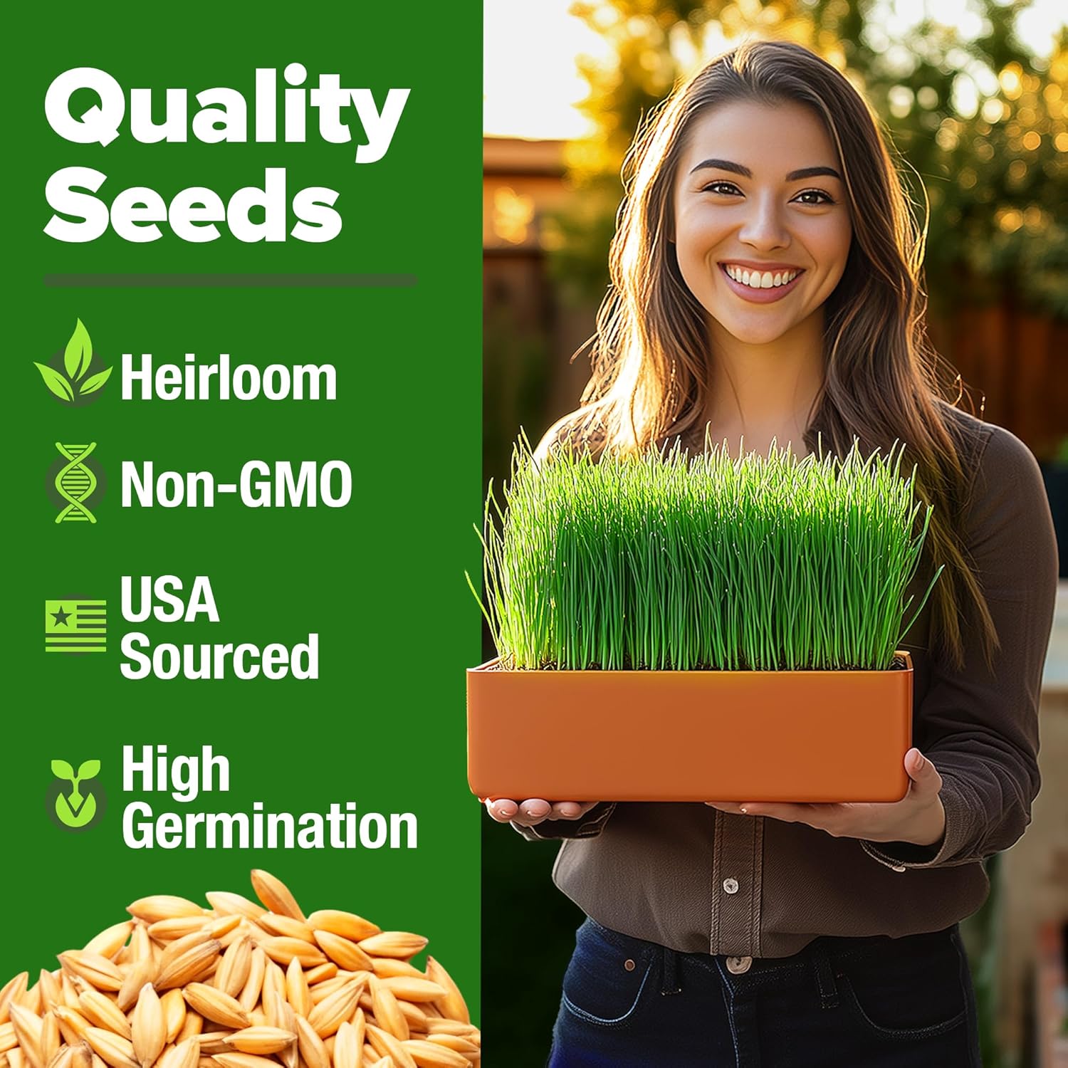 HOME GROWN English Lavender Seeds 1,500+ Non GMO Wildflower Seed for Planting Indoor/Outdoor, High Germination, Plant Flower Seeds (Lavandula antustifolia)