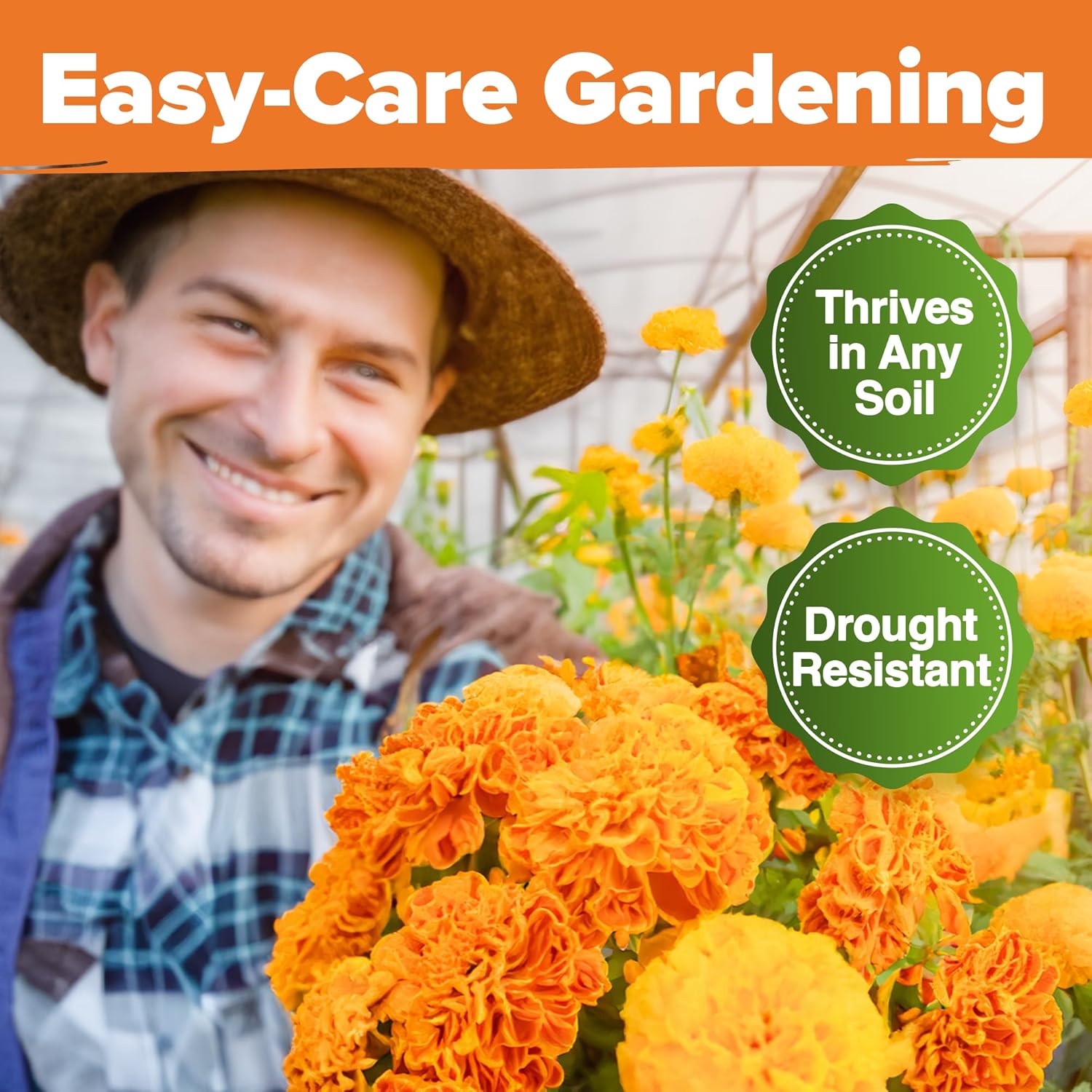 HOME GROWN English Lavender Seeds 1,500+ Non GMO Wildflower Seed for Planting Indoor/Outdoor, High Germination, Plant Flower Seeds (Lavandula antustifolia)