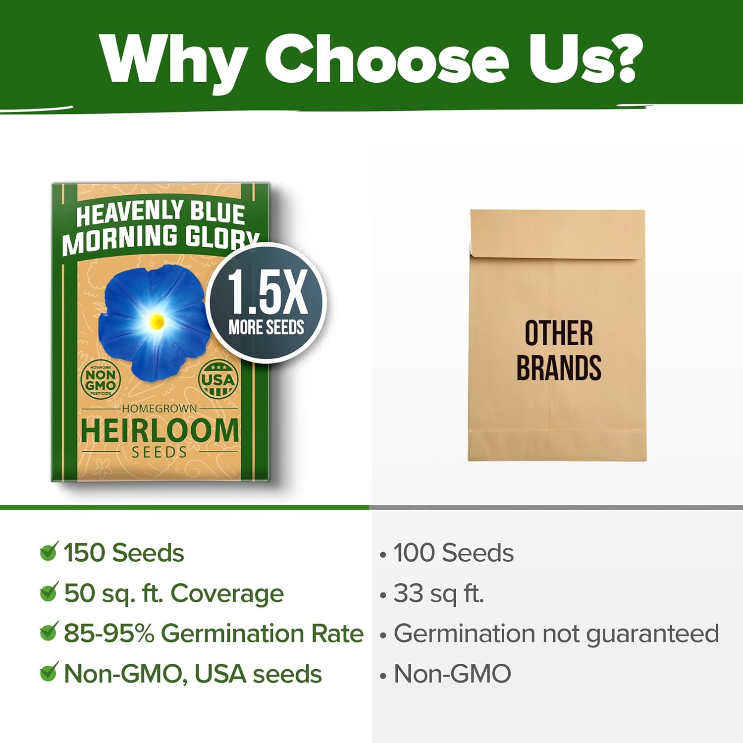 HOME GROWN English Lavender Seeds 1,500+ Non GMO Wildflower Seed for Planting Indoor/Outdoor, High Germination, Plant Flower Seeds (Lavandula antustifolia)