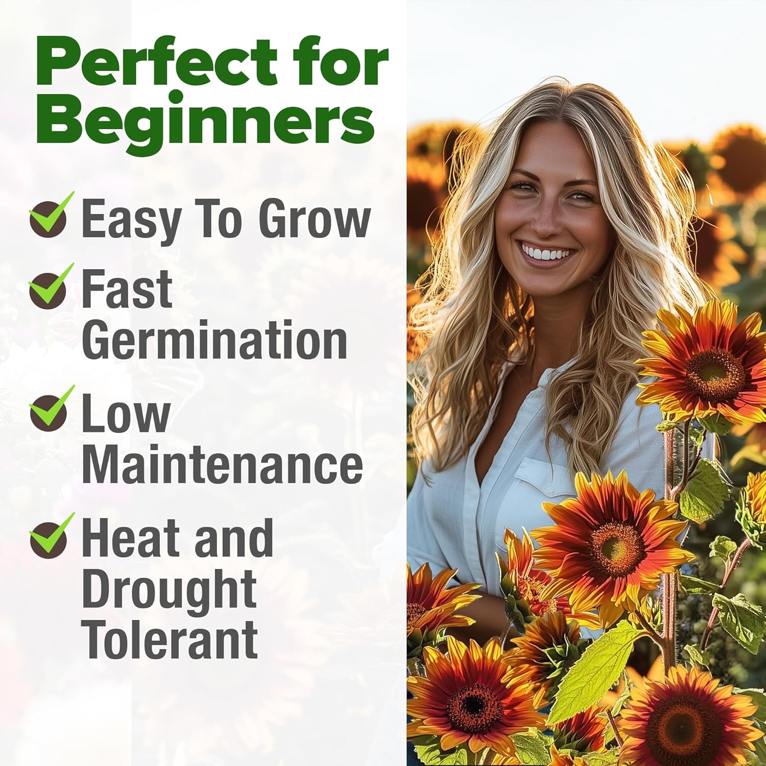 HOME GROWN English Lavender Seeds 1,500+ Non GMO Wildflower Seed for Planting Indoor/Outdoor, High Germination, Plant Flower Seeds (Lavandula antustifolia)