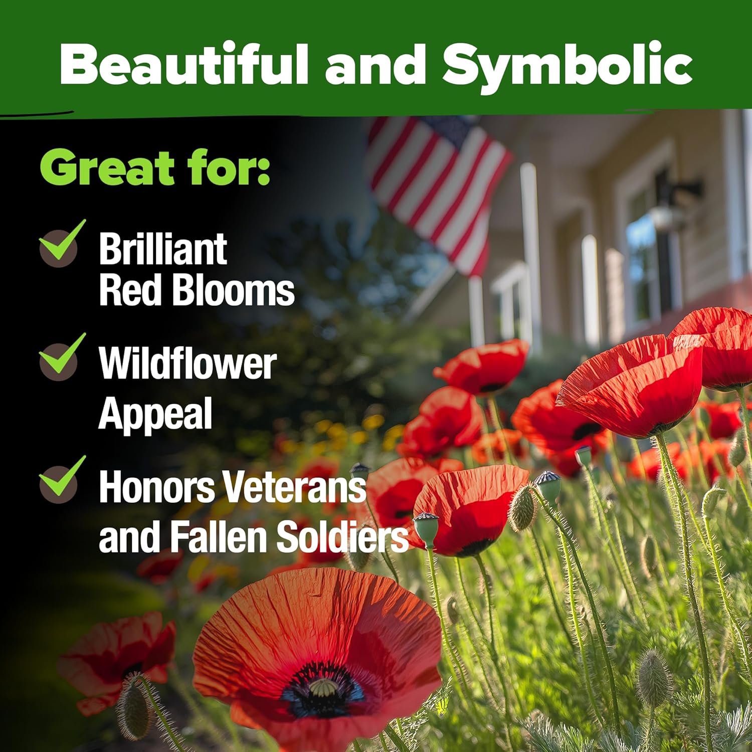 HOME GROWN English Lavender Seeds 1,500+ Non GMO Wildflower Seed for Planting Indoor/Outdoor, High Germination, Plant Flower Seeds (Lavandula antustifolia)