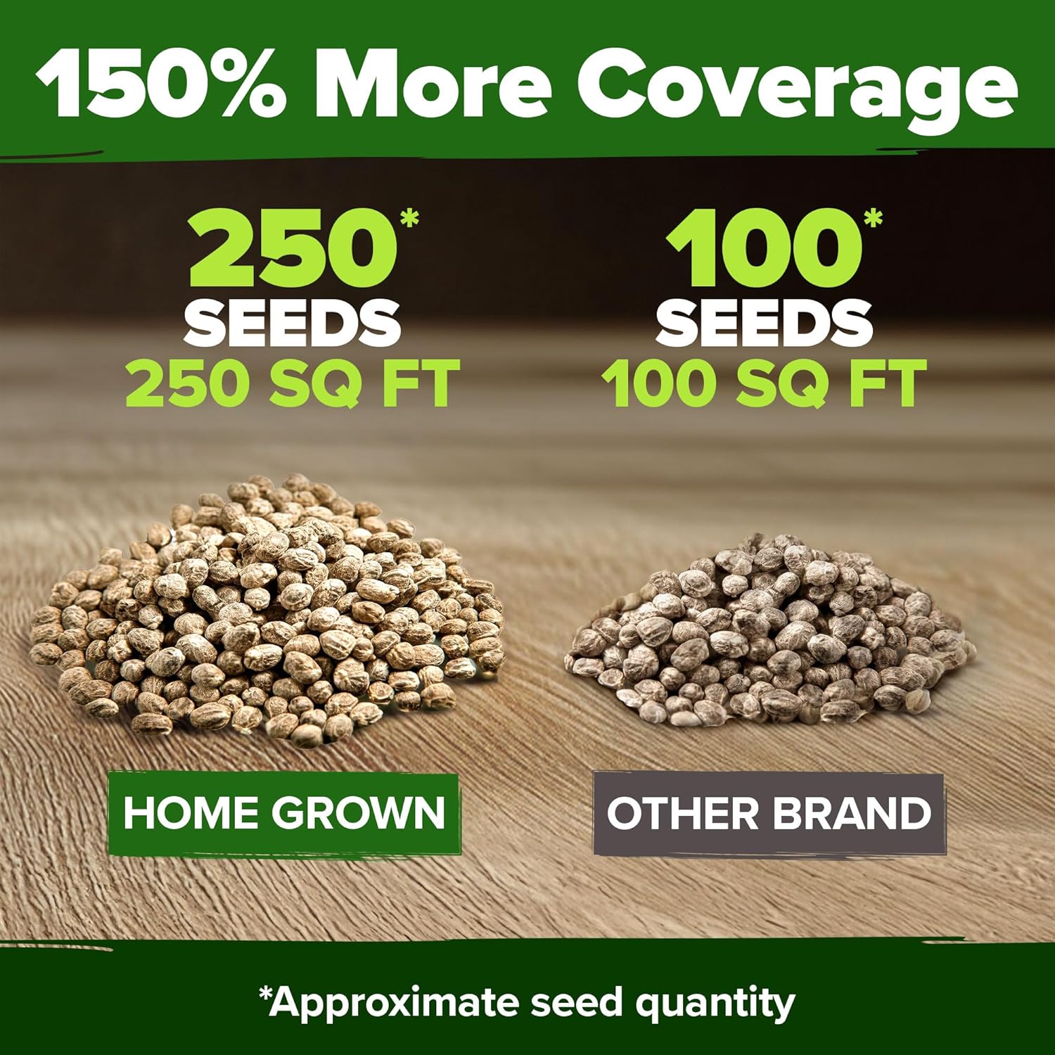 HOME GROWN English Lavender Seeds 1,500+ Non GMO Wildflower Seed for Planting Indoor/Outdoor, High Germination, Plant Flower Seeds (Lavandula antustifolia)