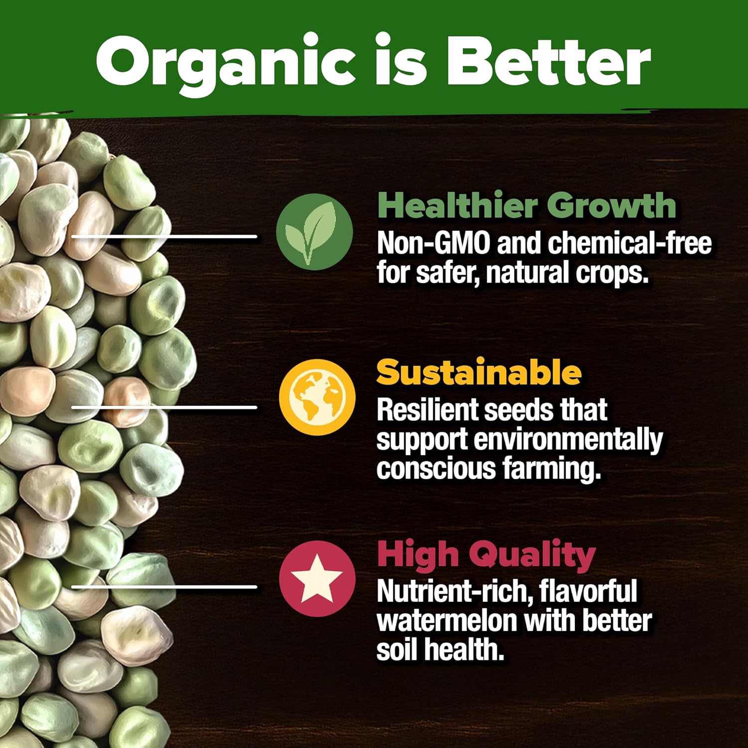 HOME GROWN English Lavender Seeds 1,500+ Non GMO Wildflower Seed for Planting Indoor/Outdoor, High Germination, Plant Flower Seeds (Lavandula antustifolia)