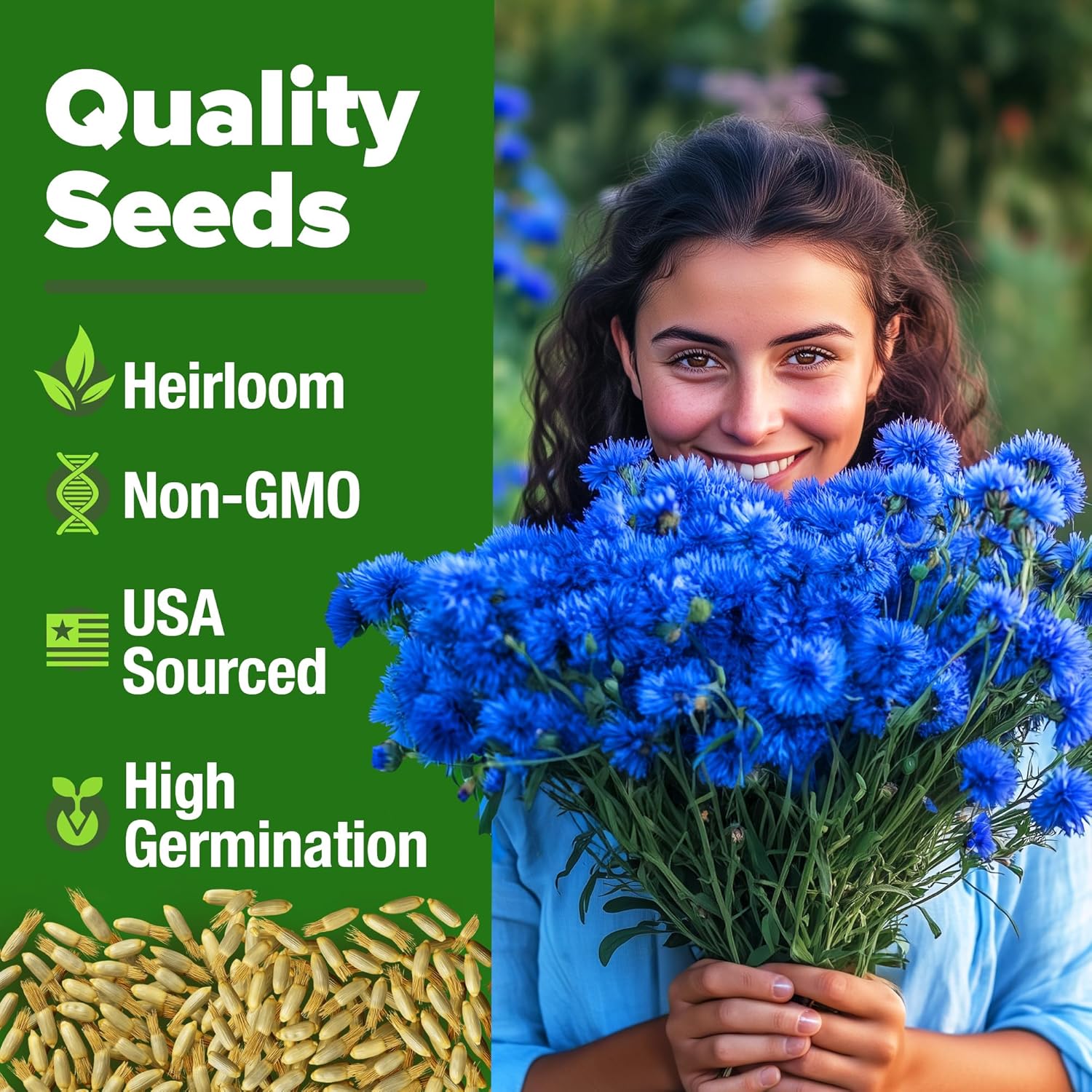 HOME GROWN English Lavender Seeds 1,500+ Non GMO Wildflower Seed for Planting Indoor/Outdoor, High Germination, Plant Flower Seeds (Lavandula antustifolia)