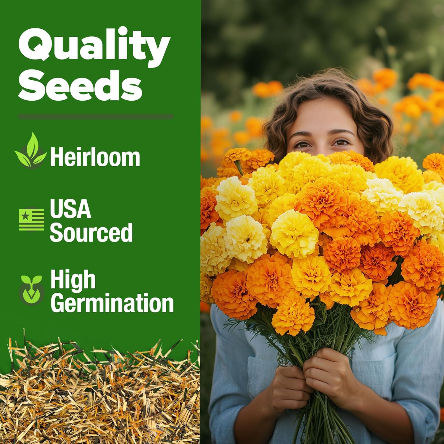 HOME GROWN English Lavender Seeds 1,500+ Non GMO Wildflower Seed for Planting Indoor/Outdoor, High Germination, Plant Flower Seeds (Lavandula antustifolia)