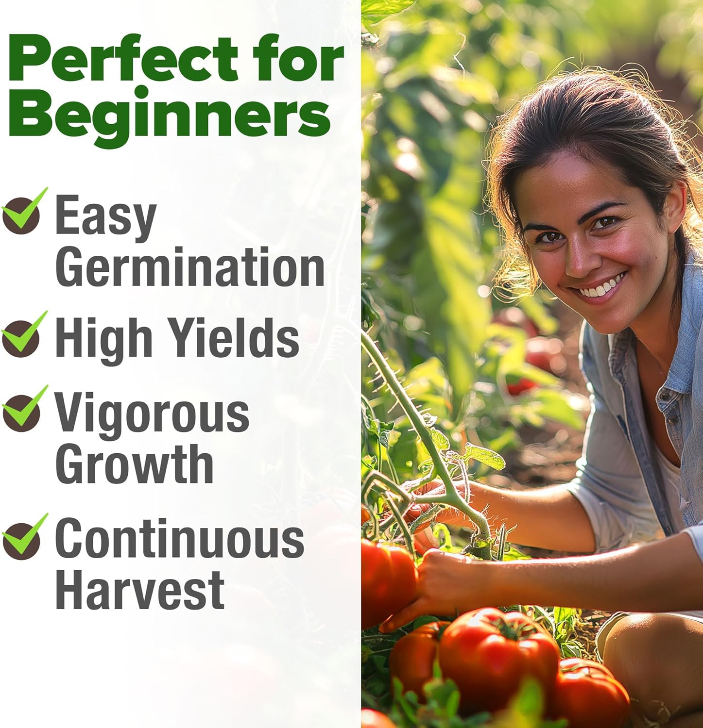 HOME GROWN English Lavender Seeds 1,500+ Non GMO Wildflower Seed for Planting Indoor/Outdoor, High Germination, Plant Flower Seeds (Lavandula antustifolia)