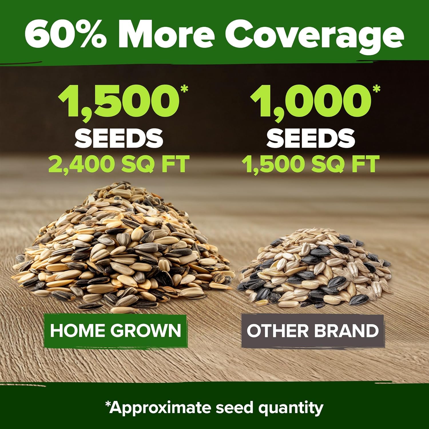 HOME GROWN English Lavender Seeds 1,500+ Non GMO Wildflower Seed for Planting Indoor/Outdoor, High Germination, Plant Flower Seeds (Lavandula antustifolia)