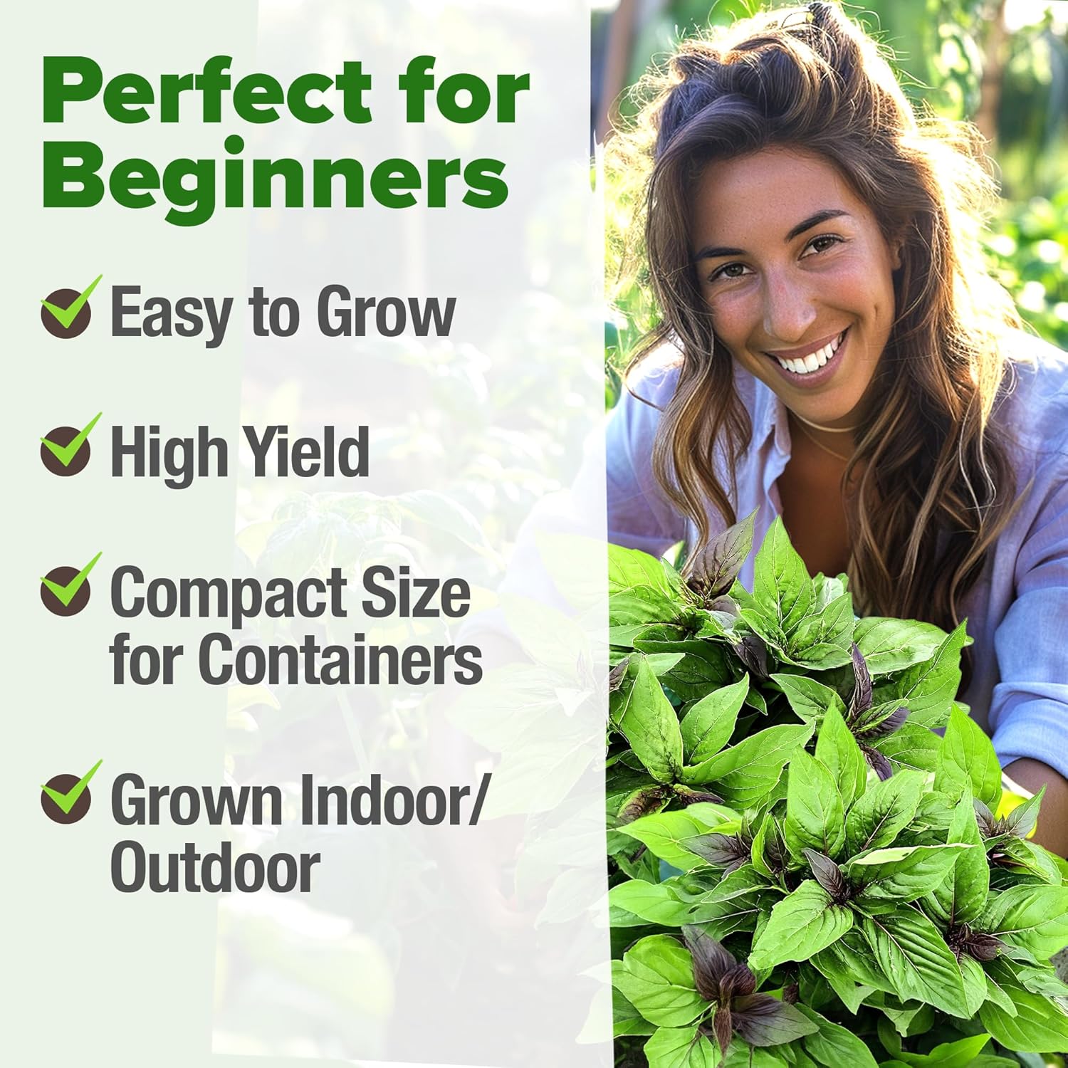 HOME GROWN English Lavender Seeds 1,500+ Non GMO Wildflower Seed for Planting Indoor/Outdoor, High Germination, Plant Flower Seeds (Lavandula antustifolia)