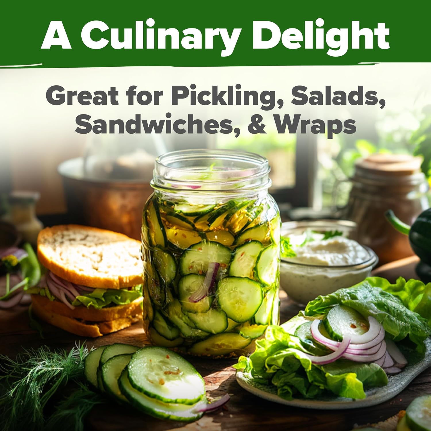 HOME GROWN English Lavender Seeds 1,500+ Non GMO Wildflower Seed for Planting Indoor/Outdoor, High Germination, Plant Flower Seeds (Lavandula antustifolia)