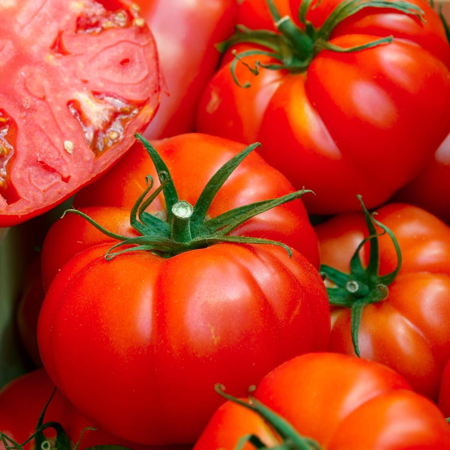 Organic Tomato Seeds (Ponderosa Red Beefsteak) - Approx 75 Seeds - USDA Organic, Non-GMO, Open Pollinated, Heirloom, USA Origin