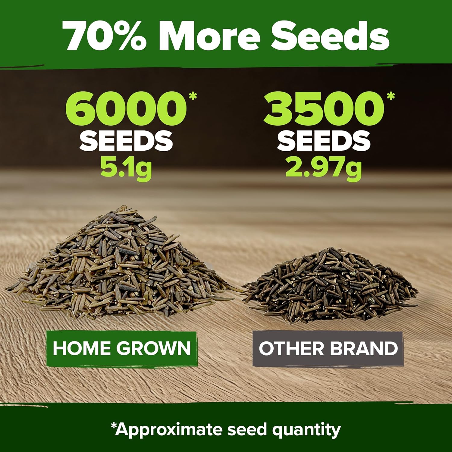 HOME GROWN English Lavender Seeds 1,500+ Non GMO Wildflower Seed for Planting Indoor/Outdoor, High Germination, Plant Flower Seeds (Lavandula antustifolia)