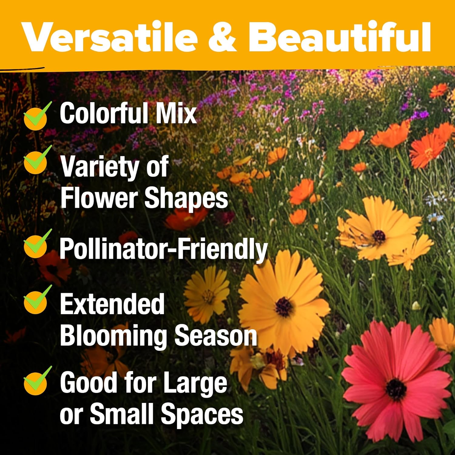 HOME GROWN Wildflower Seeds Mix - 47,400+ Non-GMO - 19 Perennial Flower Varieties for Planting Outdoors - Attract Butterflies & Birds - 3oz Wild Flower Seed Mix