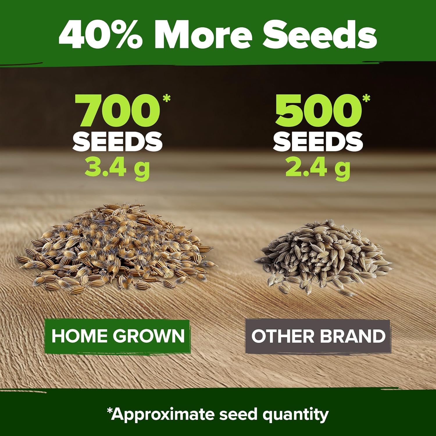 HOME GROWN English Lavender Seeds 1,500+ Non GMO Wildflower Seed for Planting Indoor/Outdoor, High Germination, Plant Flower Seeds (Lavandula antustifolia)