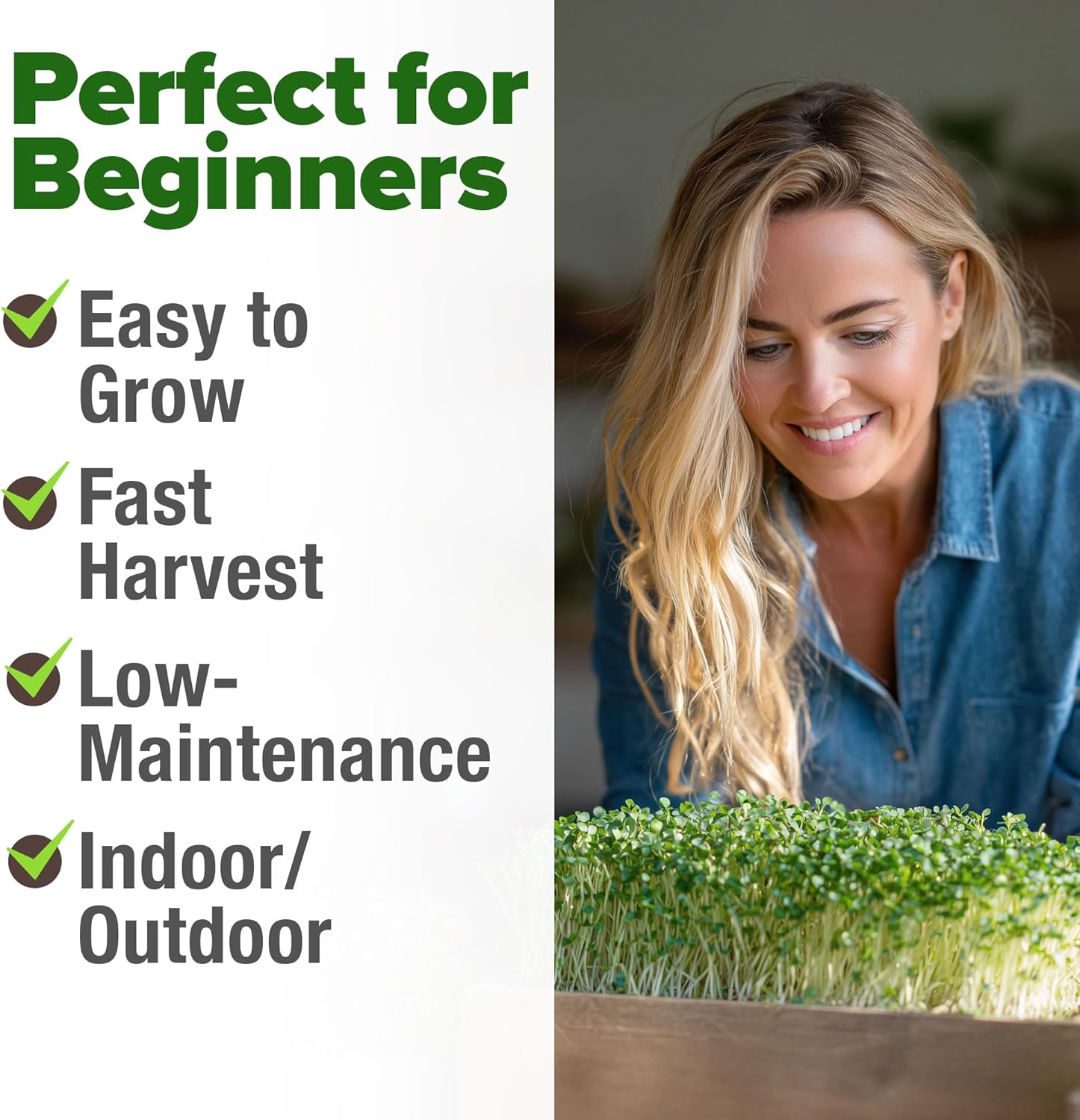 HOME GROWN English Lavender Seeds 1,500+ Non GMO Wildflower Seed for Planting Indoor/Outdoor, High Germination, Plant Flower Seeds (Lavandula antustifolia)