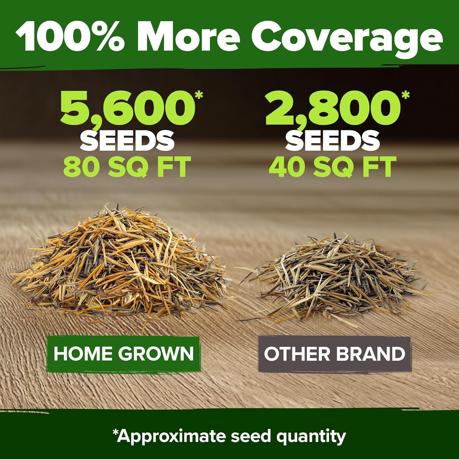 HOME GROWN English Lavender Seeds 1,500+ Non GMO Wildflower Seed for Planting Indoor/Outdoor, High Germination, Plant Flower Seeds (Lavandula antustifolia)